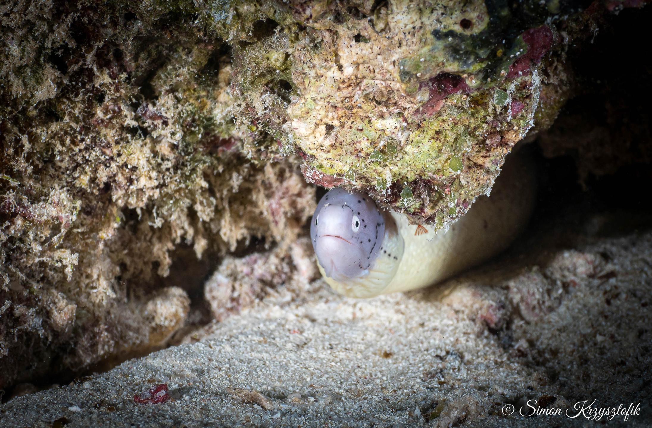 Bawe Reef photo 2