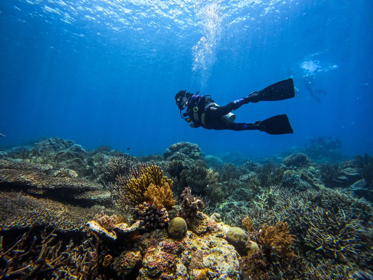 Inner Reef