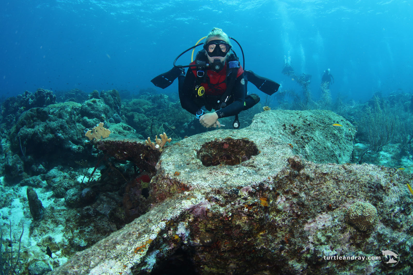 Shipwreck Point photo 3