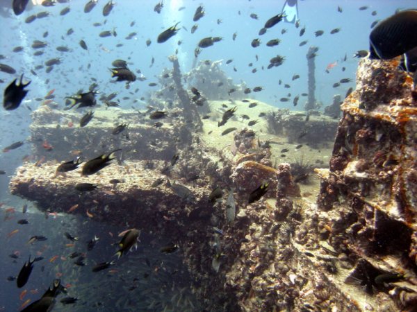 King Cruiser Wreck photo 4