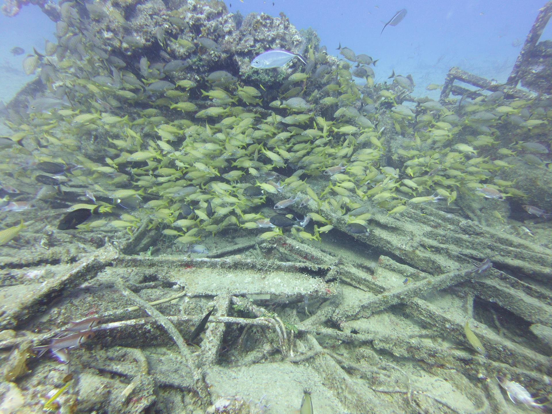 Tiegland/Cable Reef photo 7