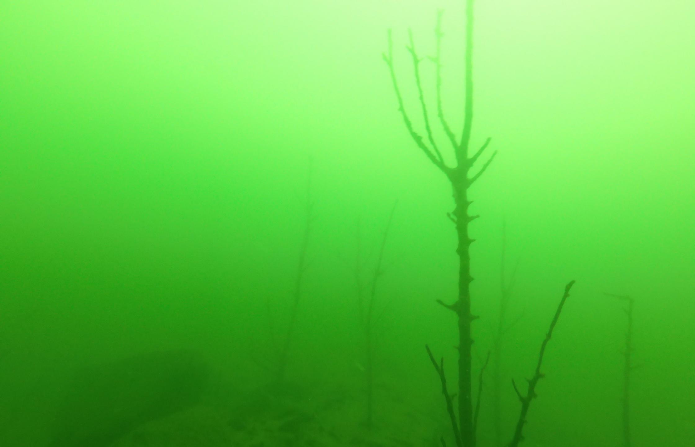 Bluegill Alley photo 11