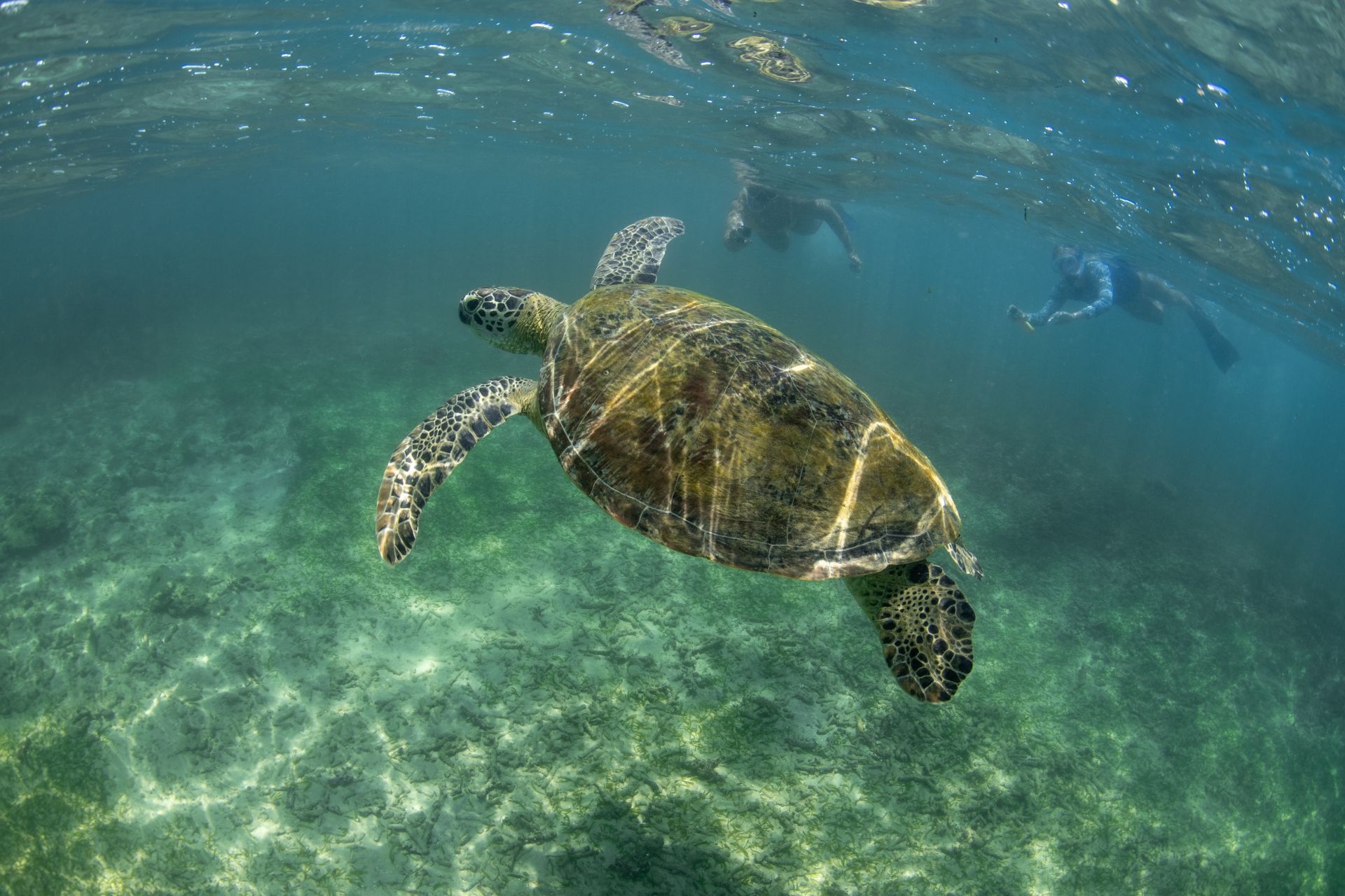Polhena Reef photo 3