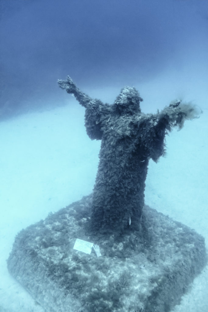 Imperial Eagle And Statue Of Christ photo 4