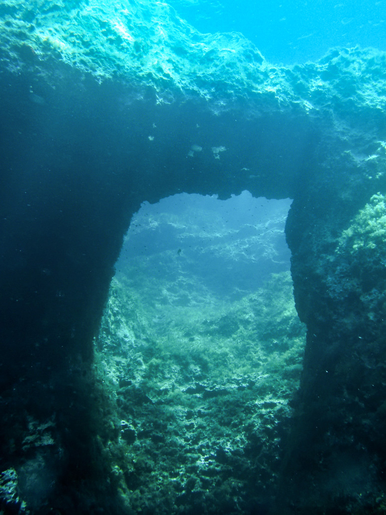 Cirkewwa - Paradise Bay Reef photo 4