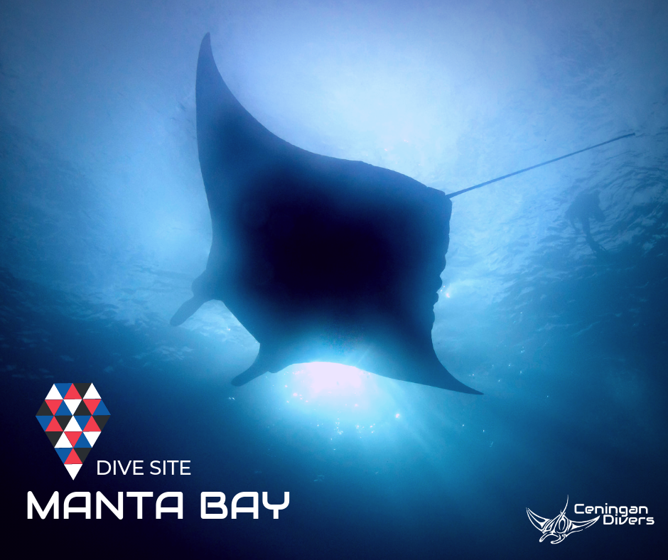 Manta Bay 3 - The Crack