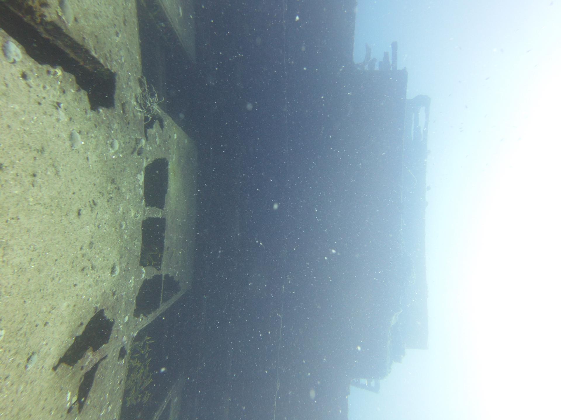 Carib Cargo photo 2