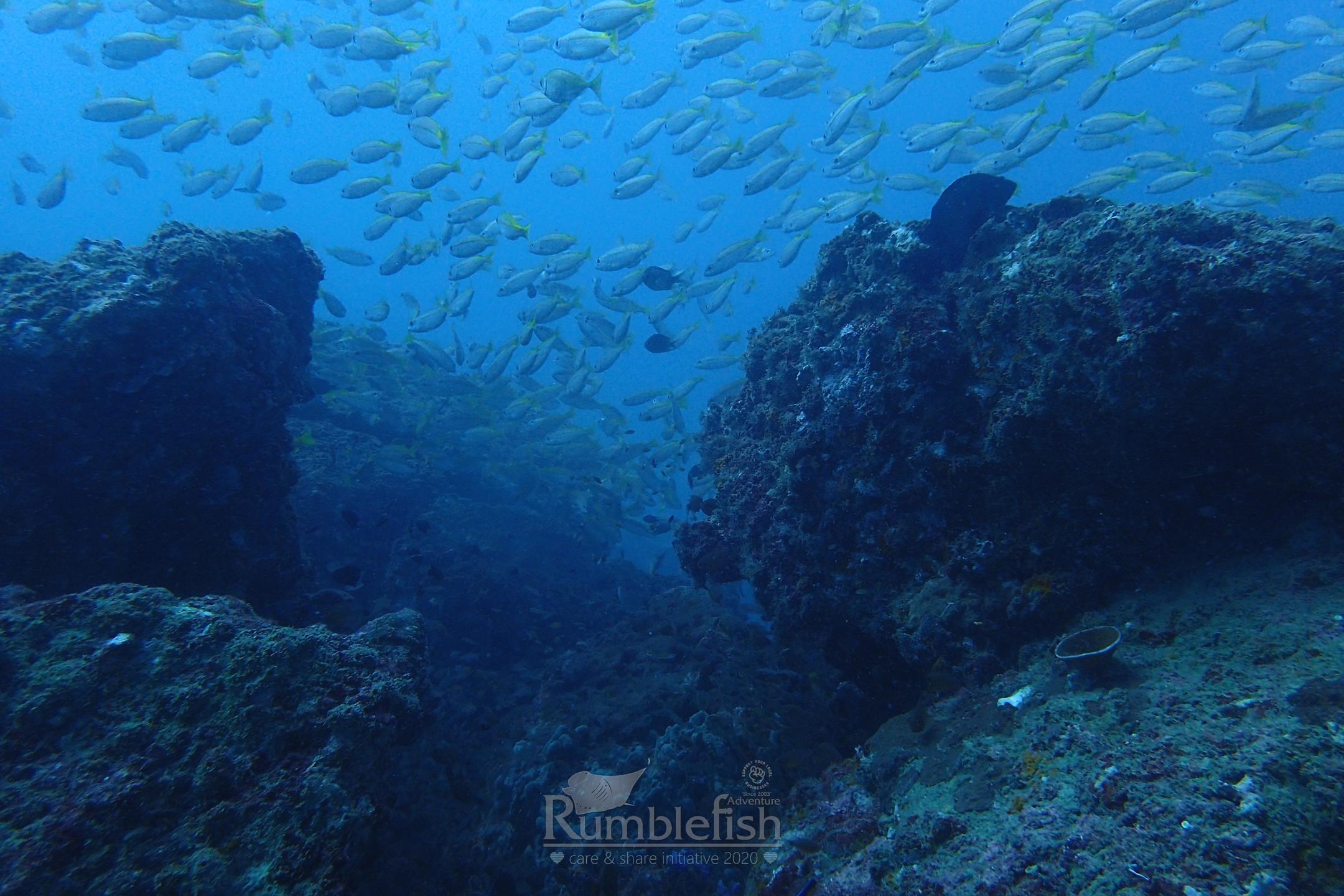 Karon rock photo 2