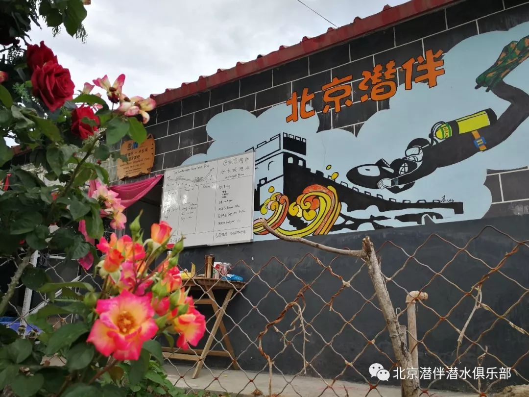 潘家口水下长城Underwater Great Wall