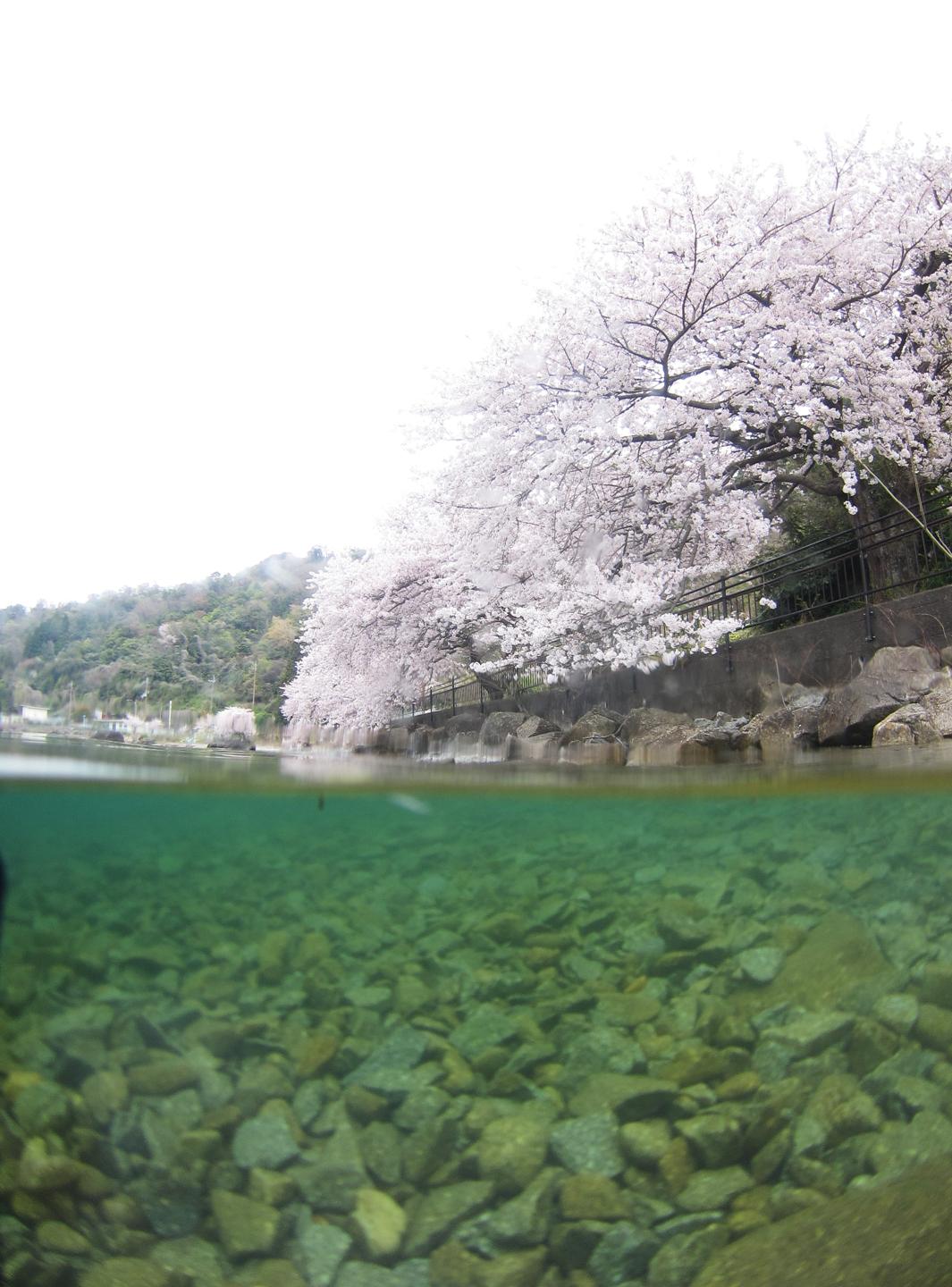 Okishima