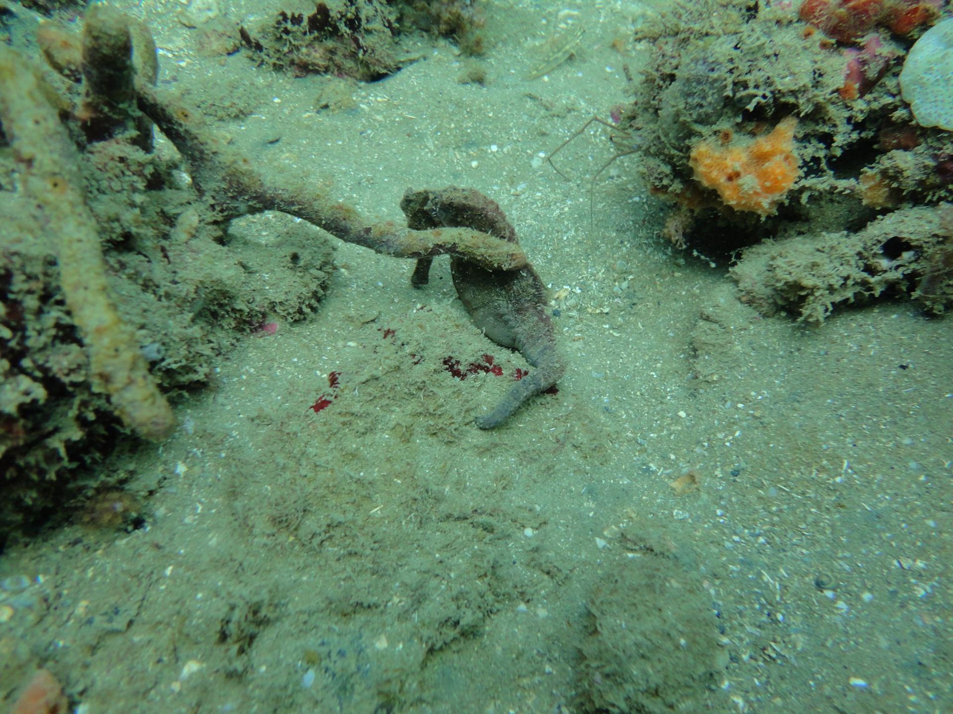 Quebra Mar photo 9