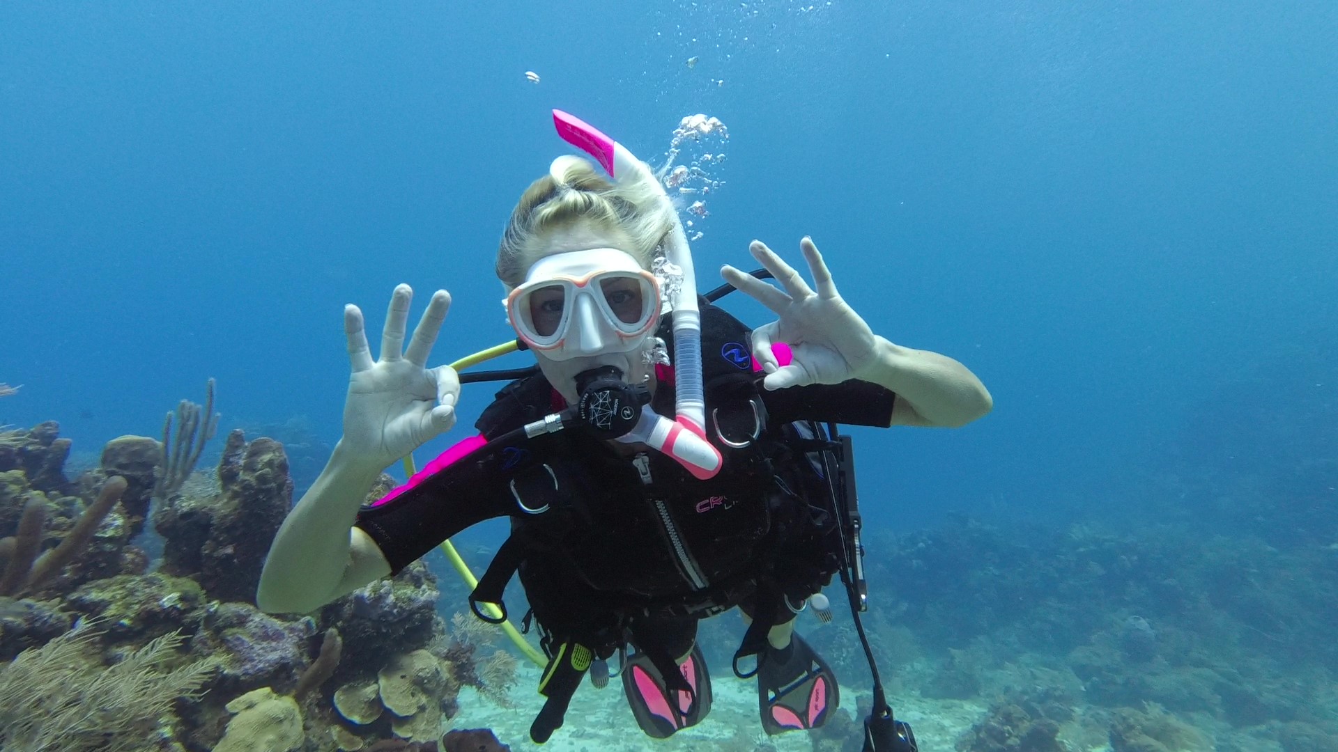 Pillar Coral