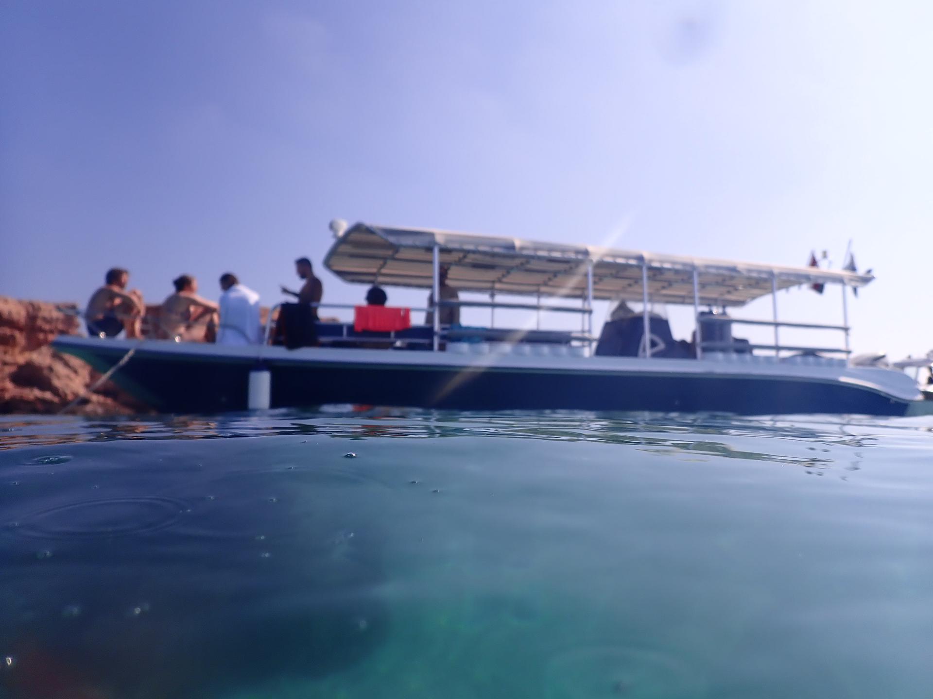 Turtle City photo 2