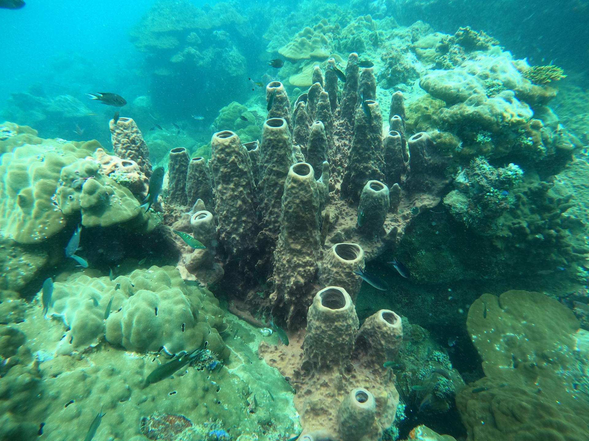 Koh Rong Corner