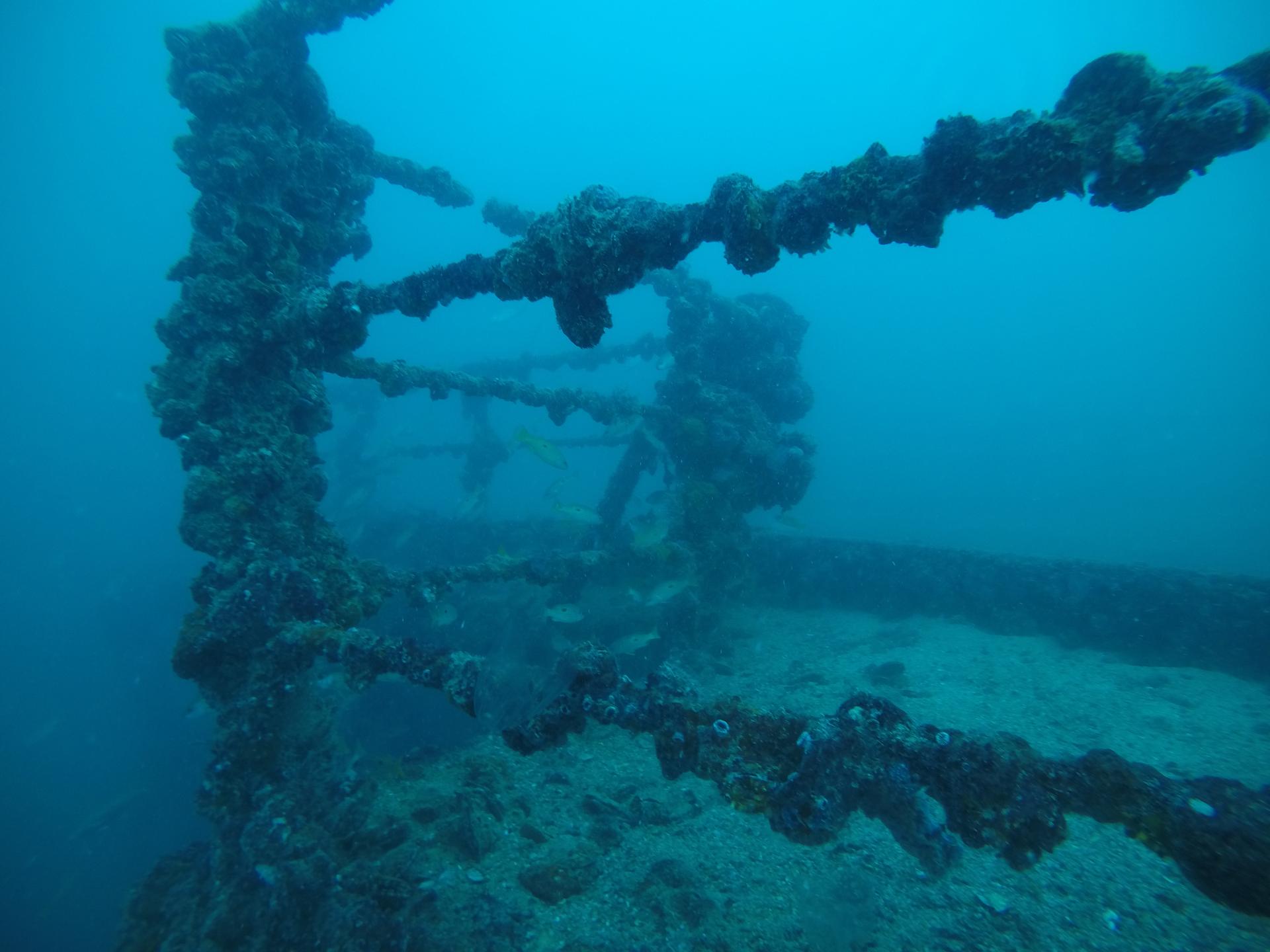 The Barge photo 11