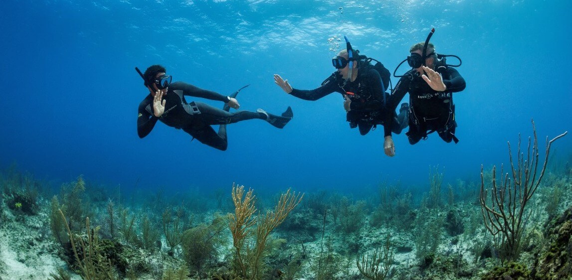 Akrotiri Fish Reserve photo 6