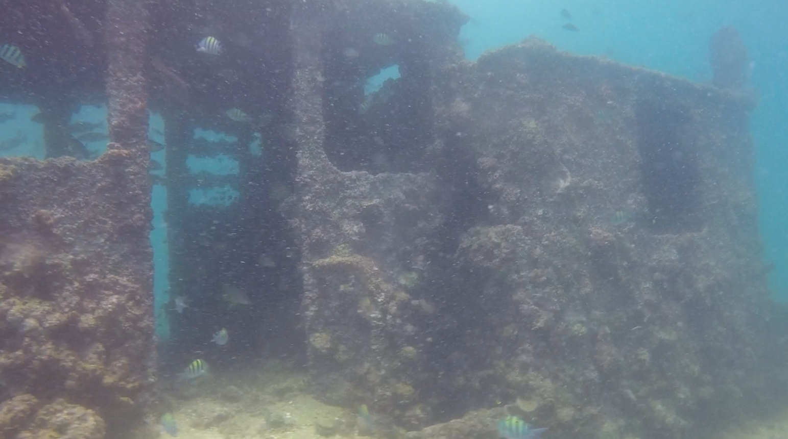 Humsi Wreck photo 9