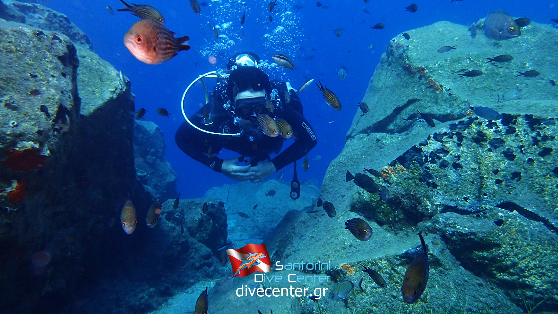 House Reef photo 5