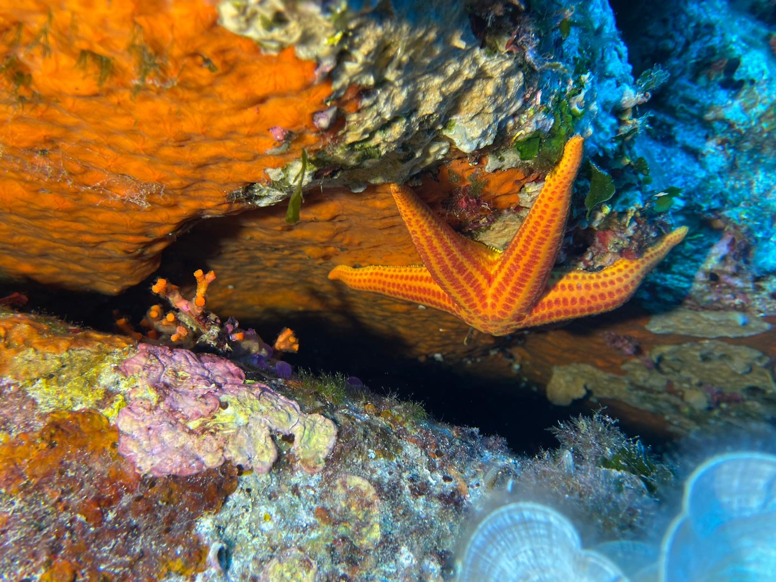 La Vacca Nord photo 3