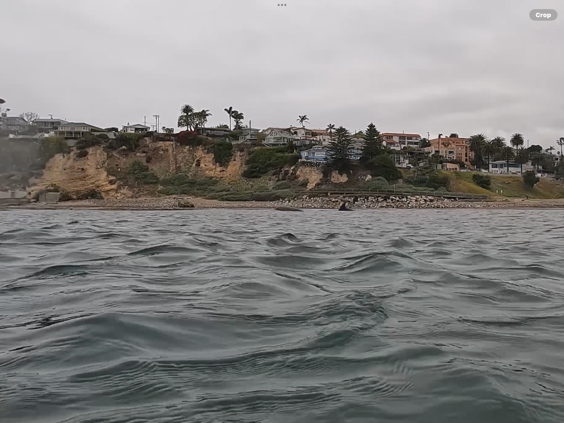 Cabrillo Beach photo 9