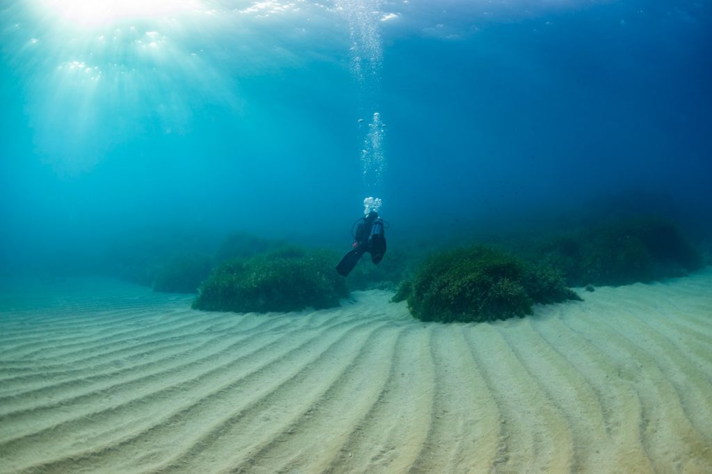 Aquamarine House Reef photo 9