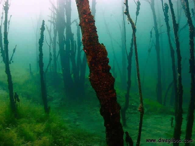 Gilboa Quarry photo 4