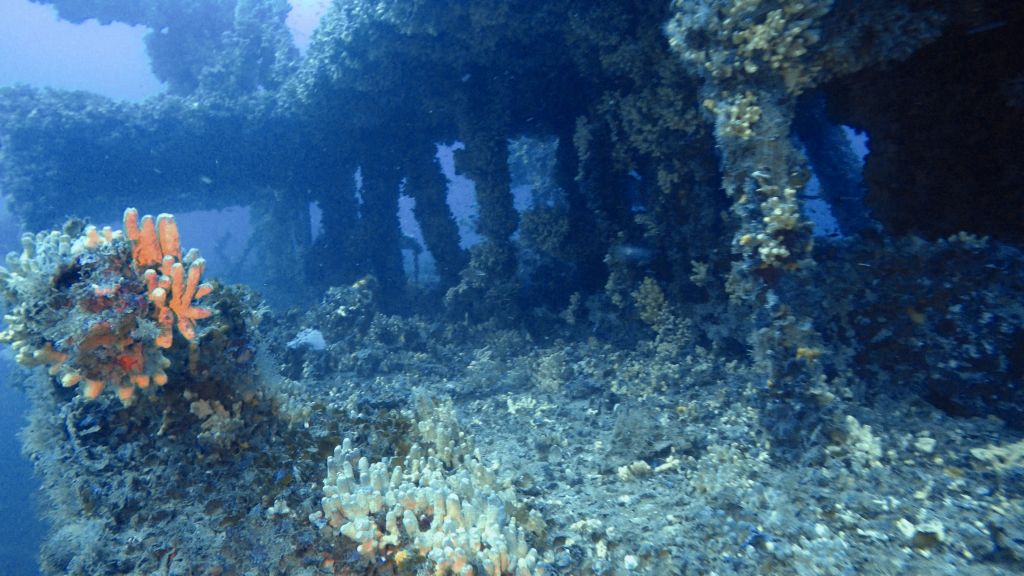 HMS Nasturtium photo 3