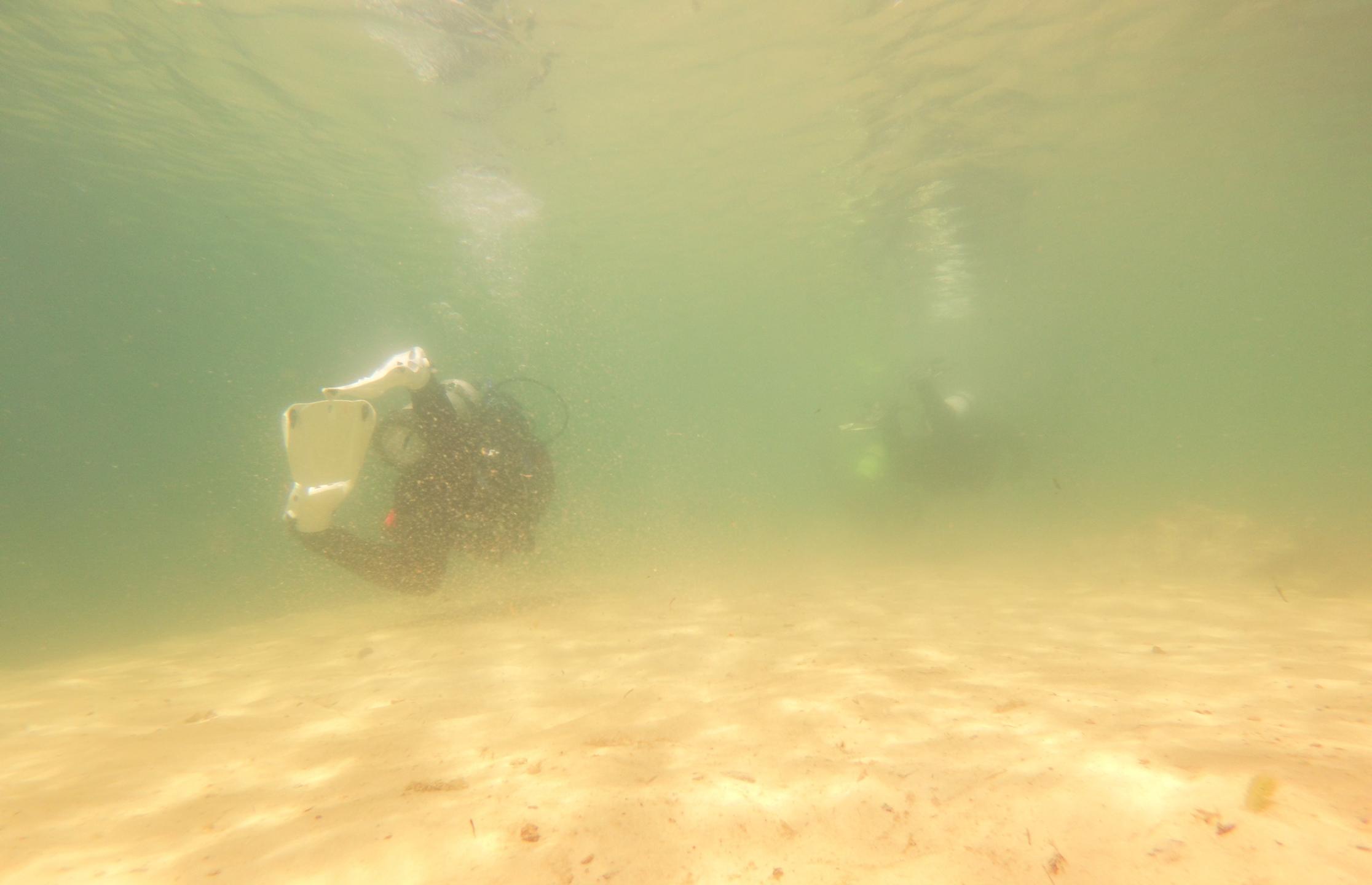 Bluegill Alley photo 15