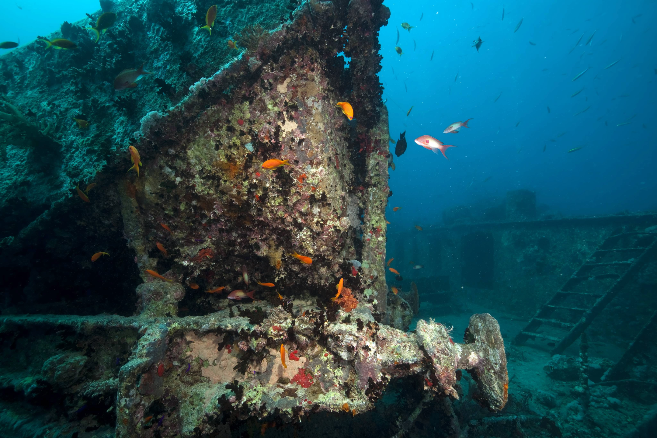 SS Thistlegorm