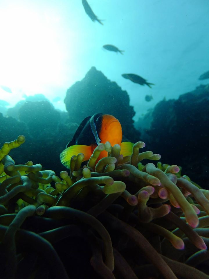 Shark Island photo 3
