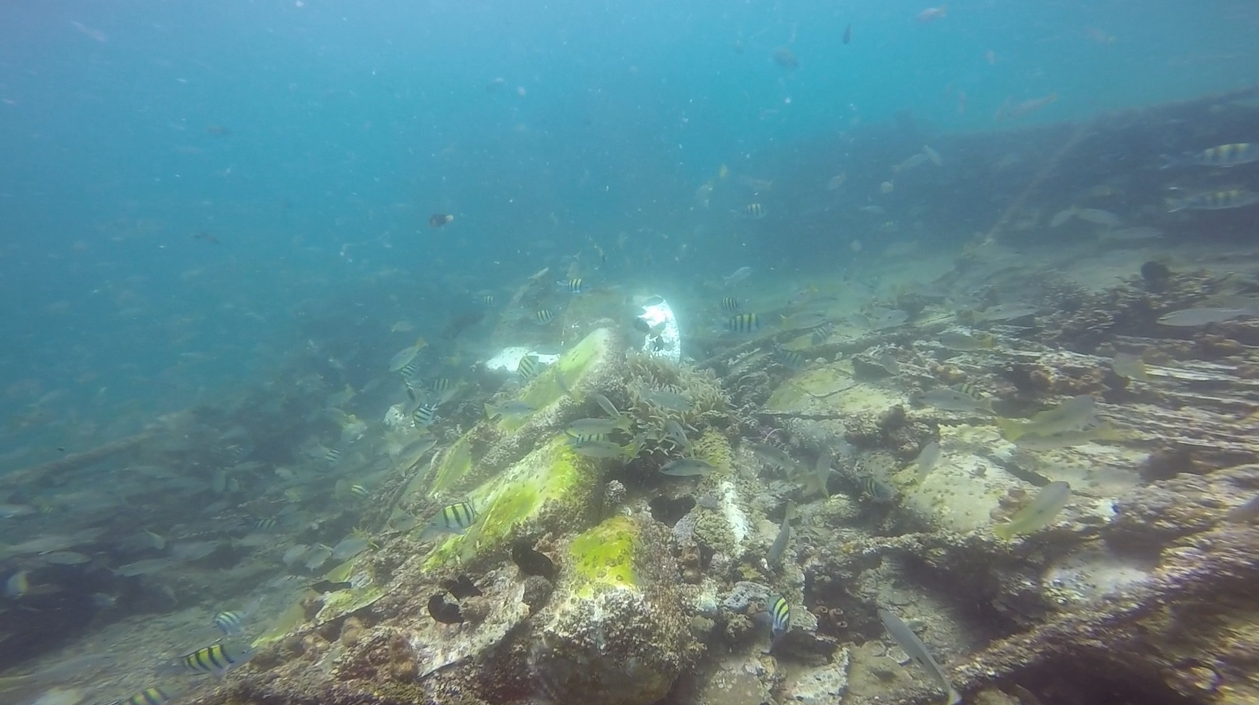 Humsi Wreck photo 7
