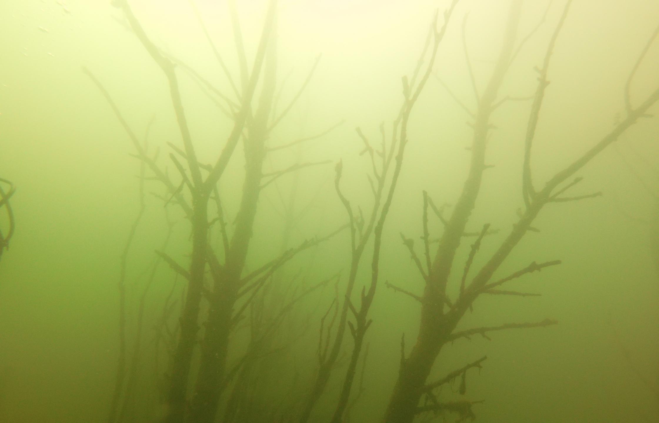 Bluegill Alley photo 14