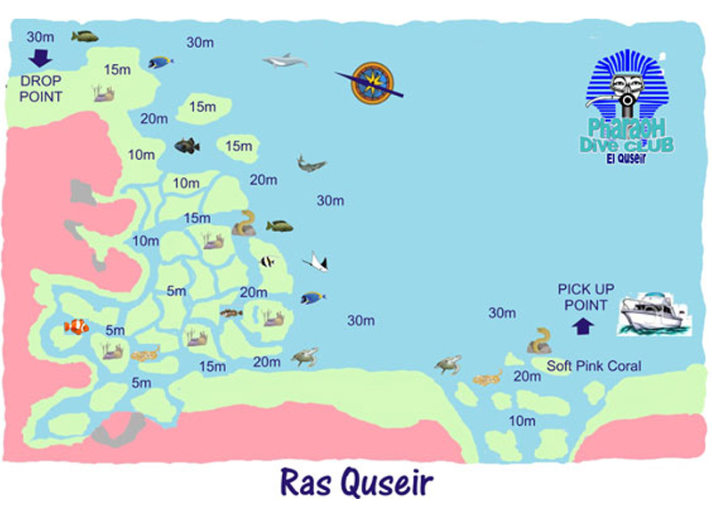 Ras Qusier photo 2