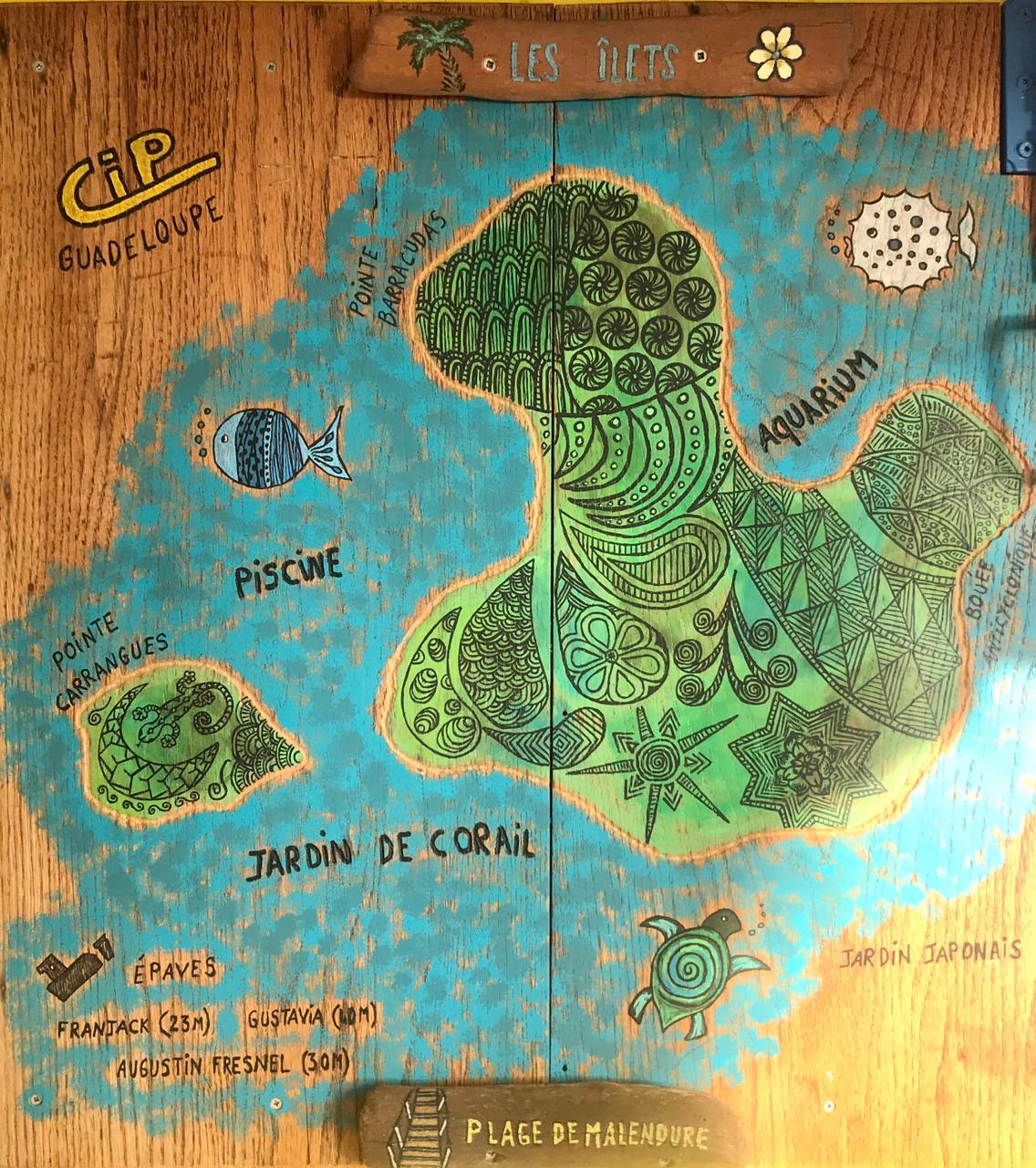 Jardin de corail