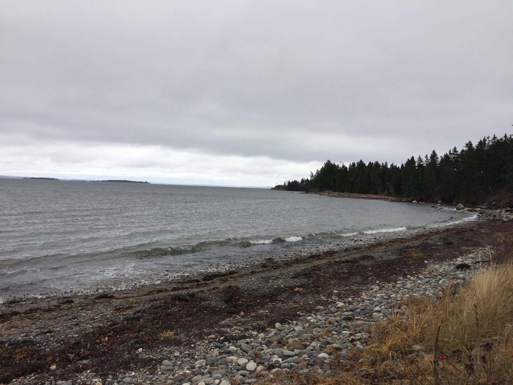 Bachman's Beach photo 2
