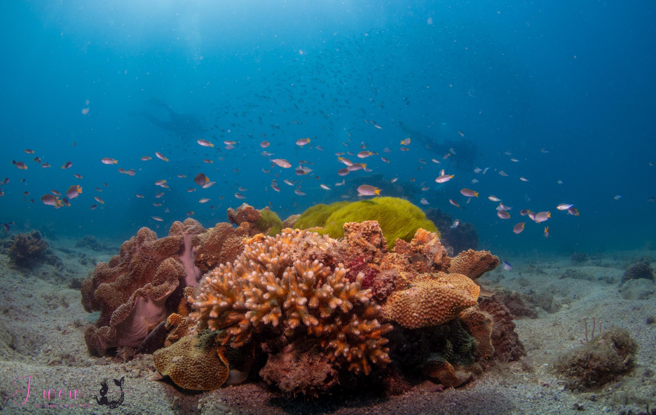 Wreck beach