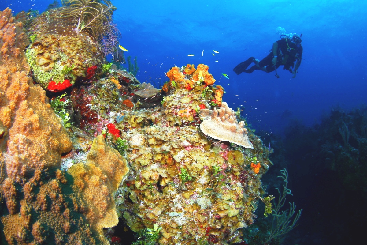 Ben's Blue Hole