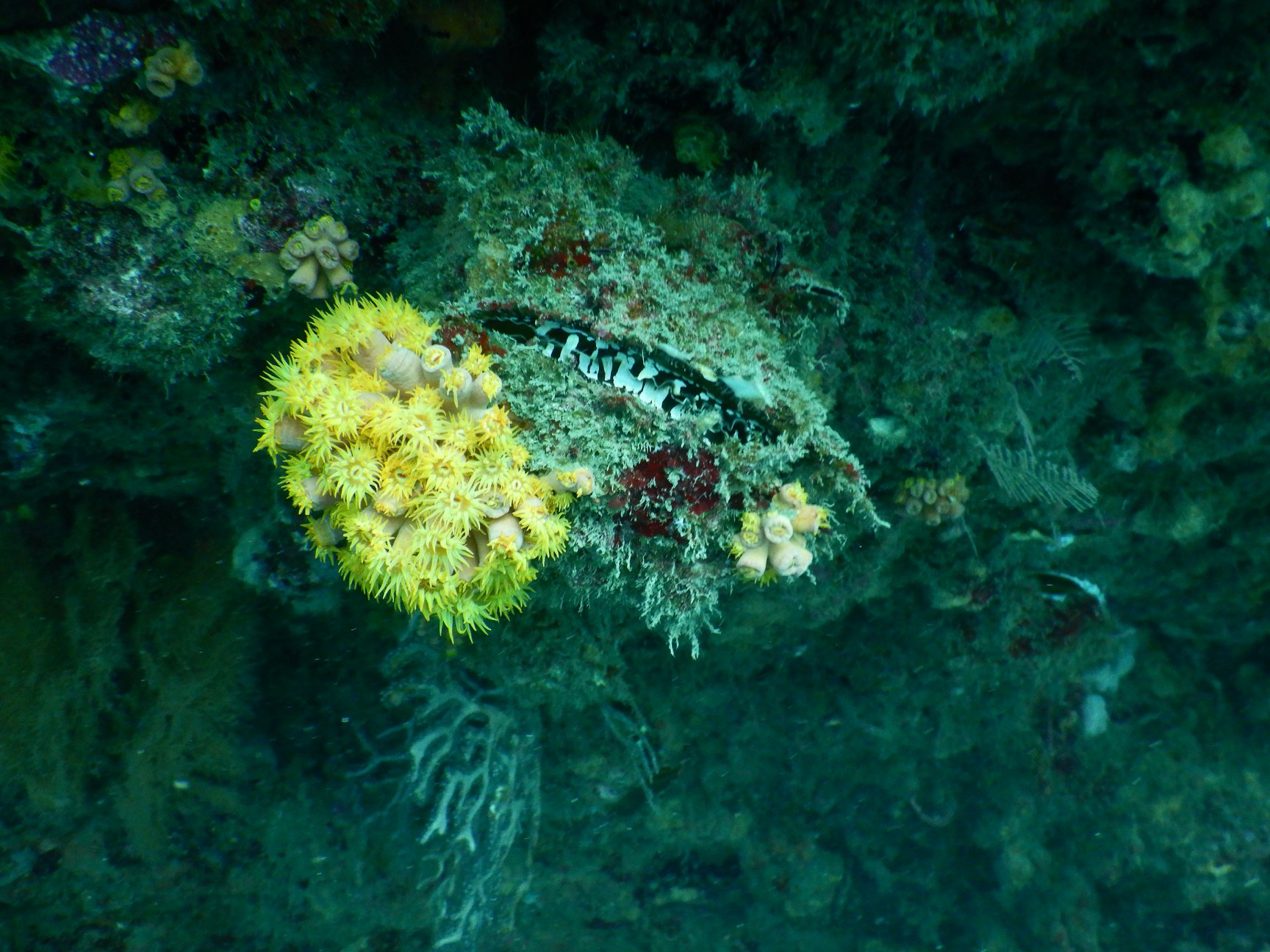 Morrito Largo photo 2