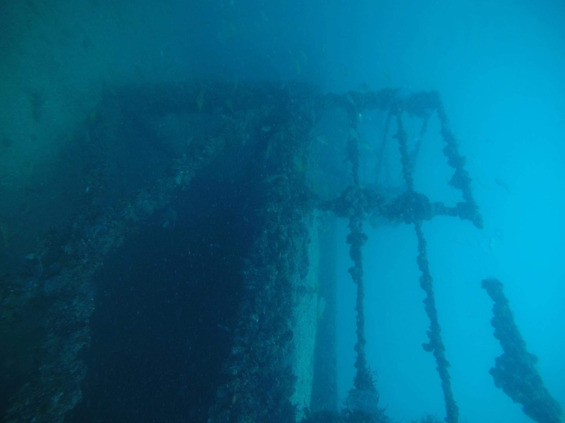 The Barge photo 9