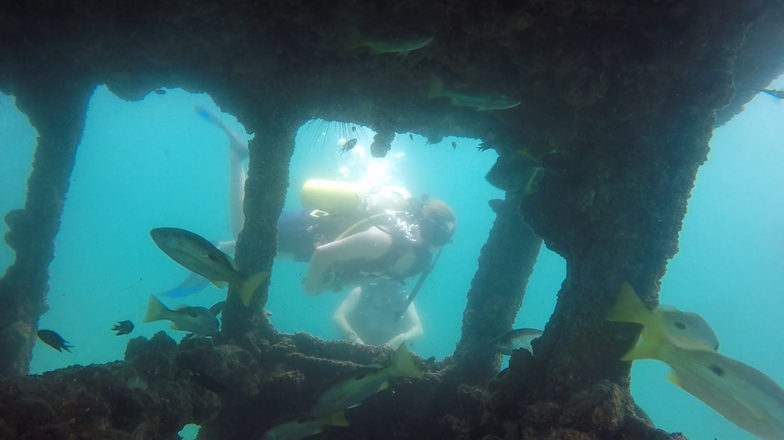 Humsi Wreck photo 10