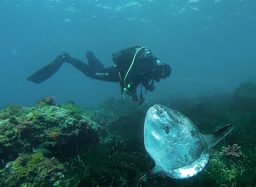 Isla del Fraile photo 3