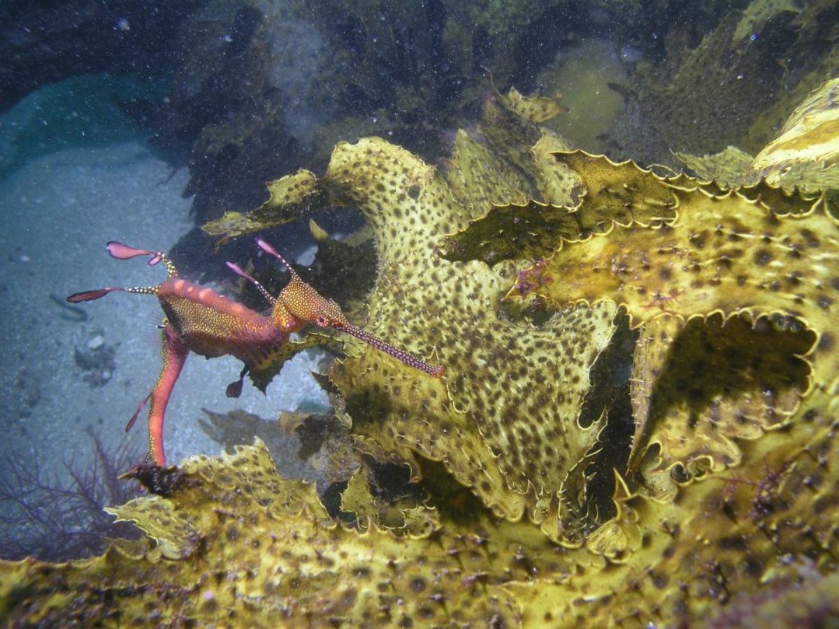 Dragons Lair photo 4
