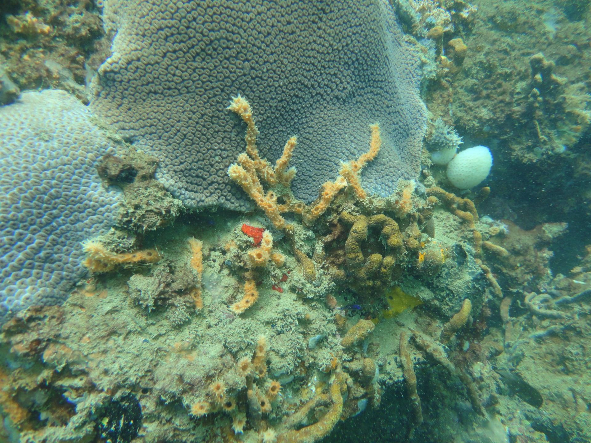 Quebra Mar photo 13