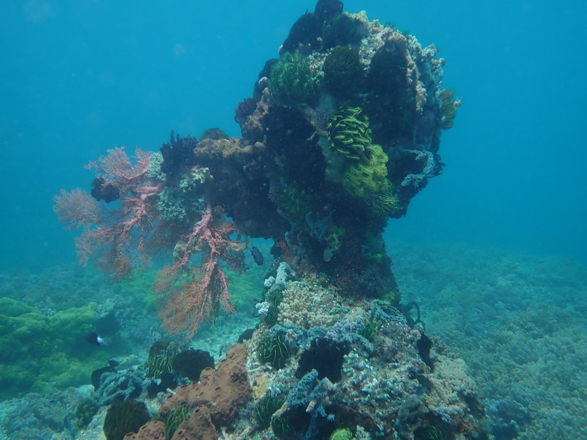 Sunken Island