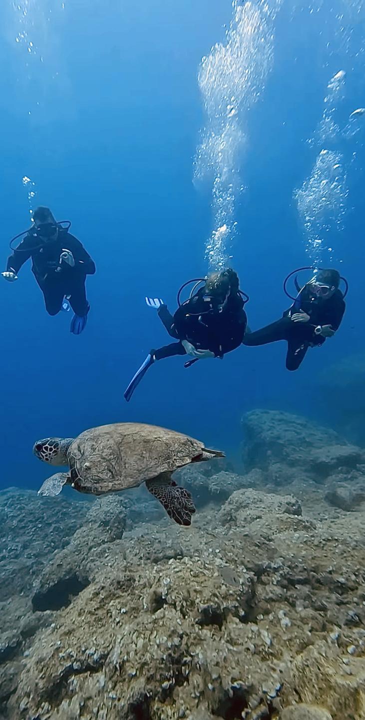 Turtle Island photo 2