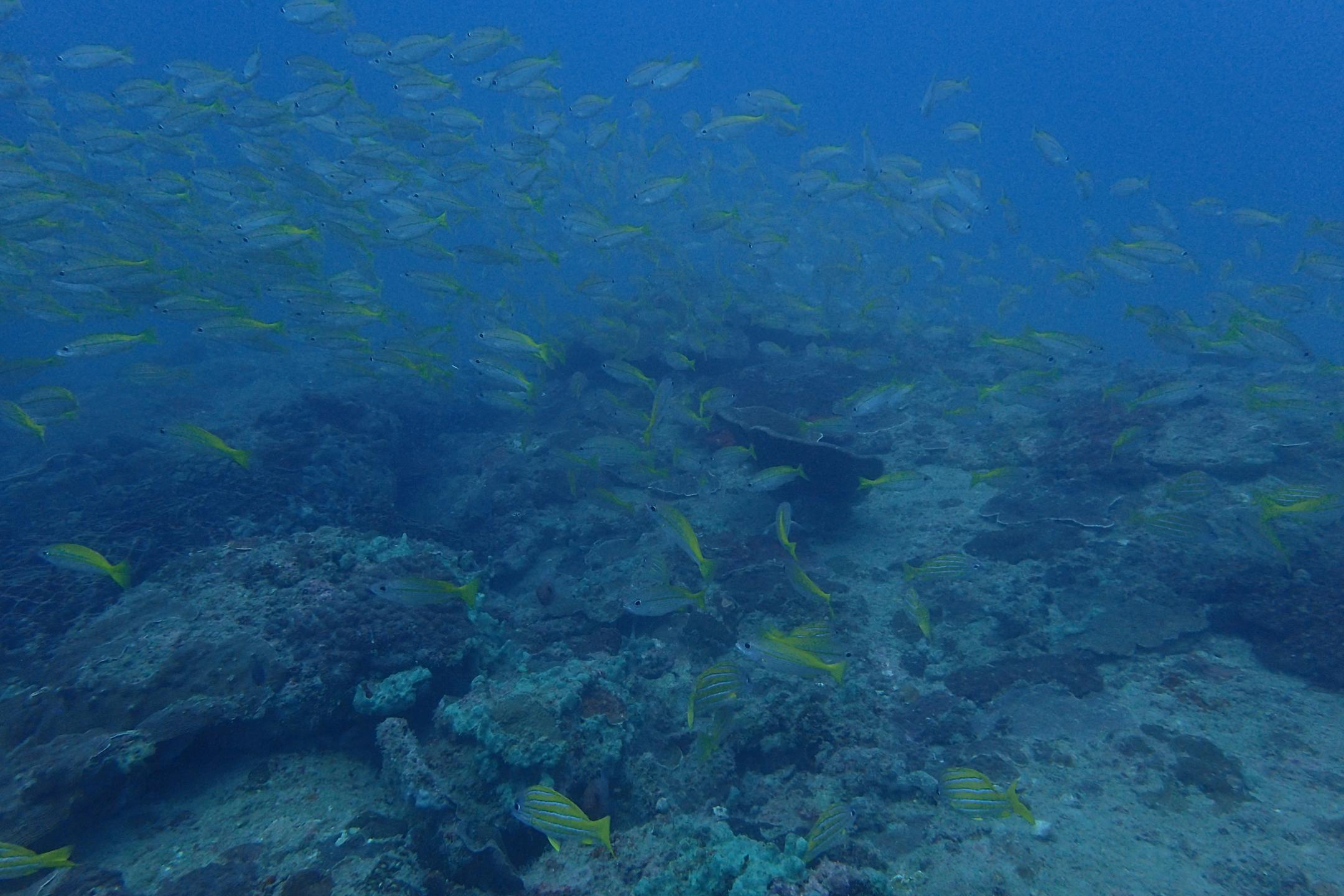 Karon rock photo 4