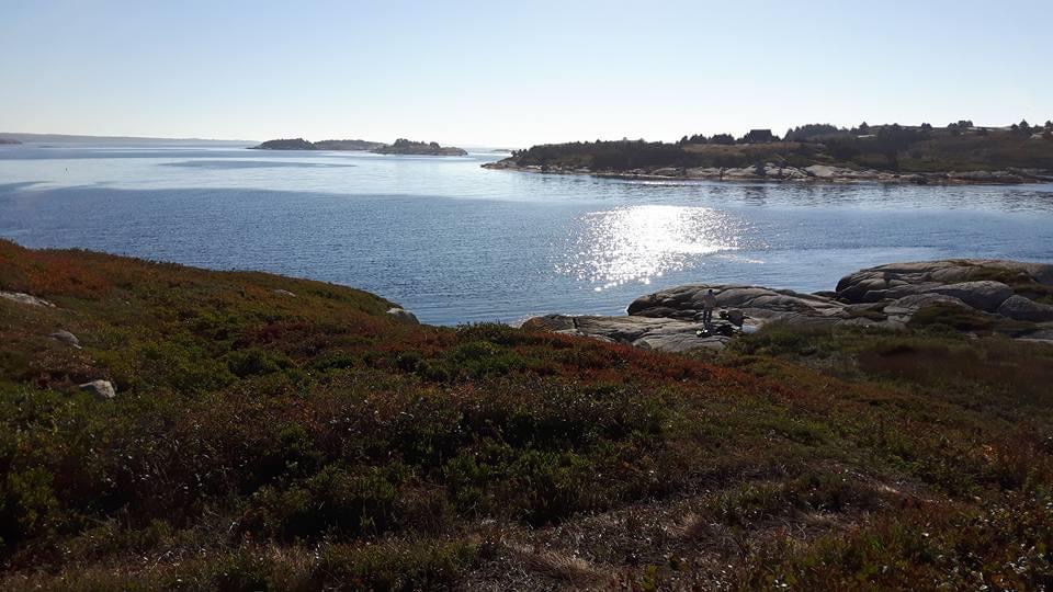 Burns Point photo 3