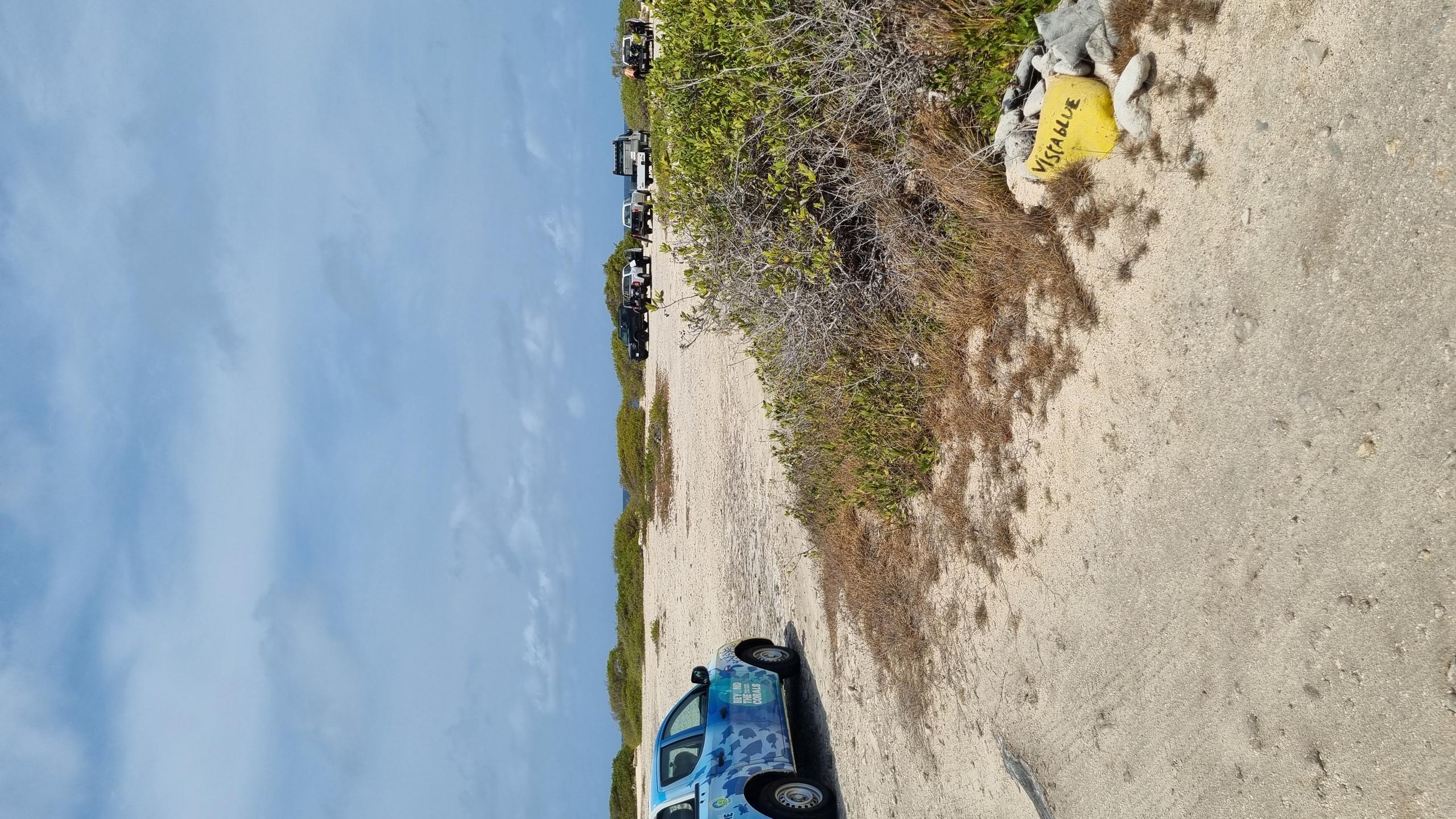 Vista Blue photo 4