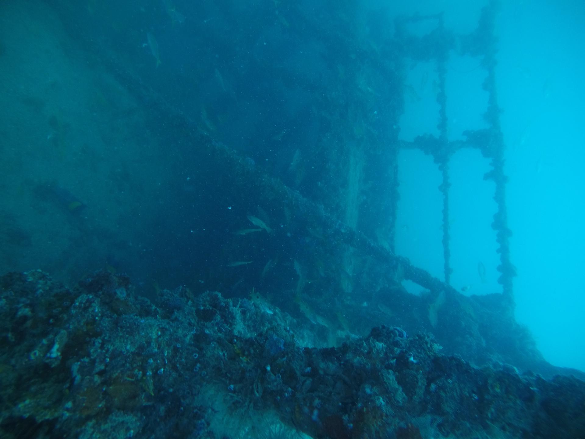 The Barge photo 12