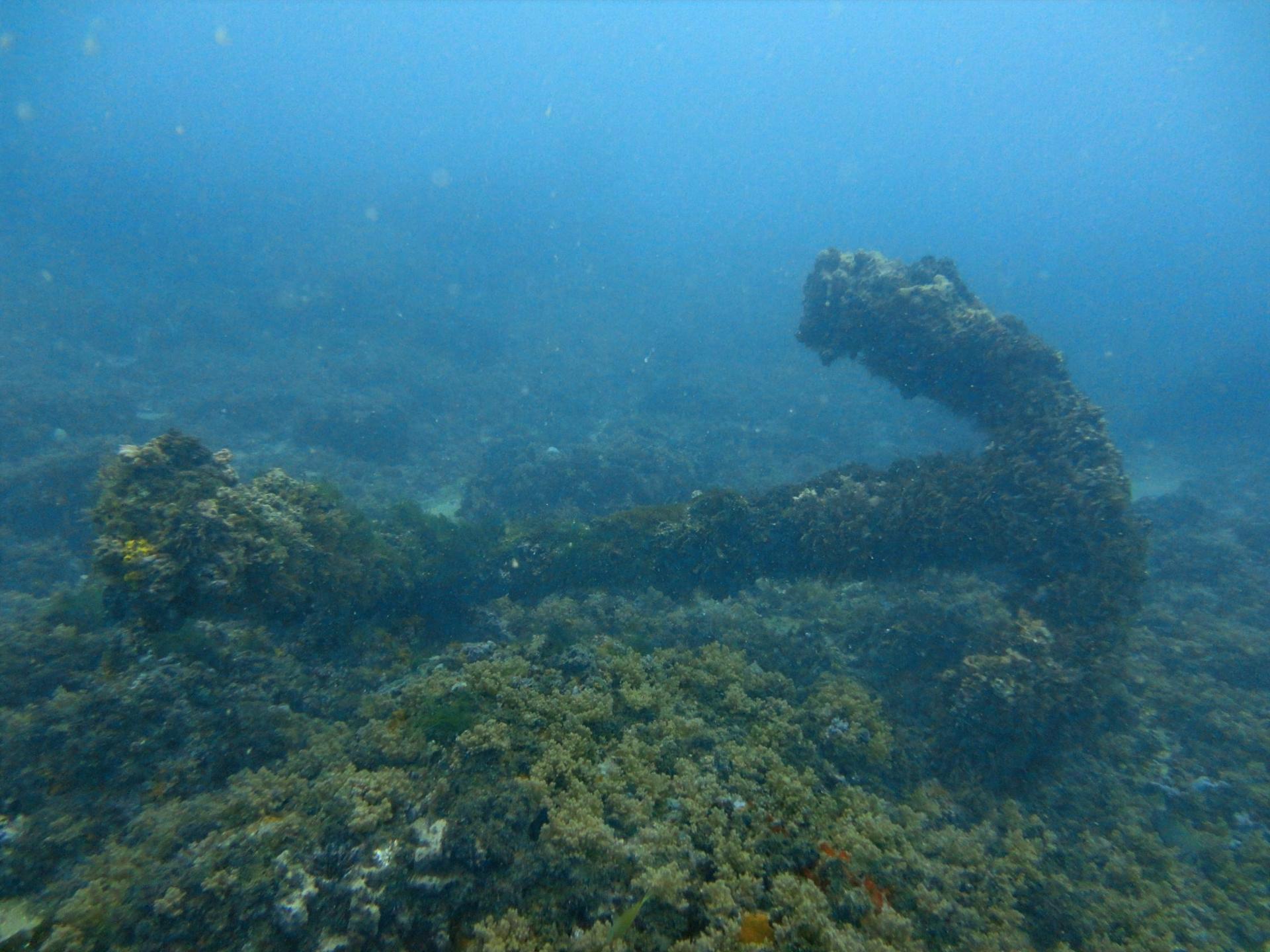 Germania and Bretagne photo 5